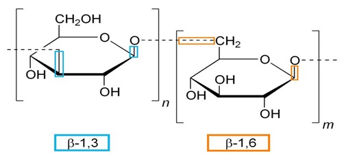 cấu tạo của beta glucan