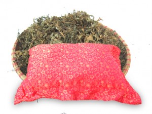 gối là đinh lăng