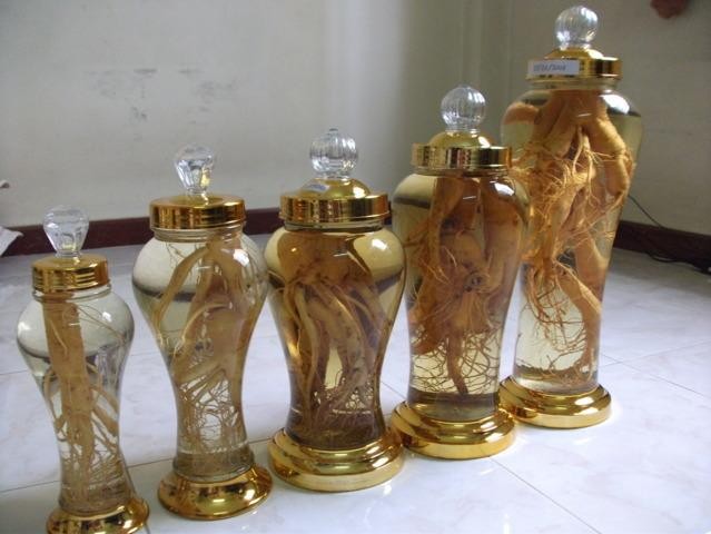 rượu đinh lăng