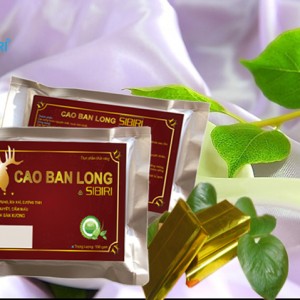 Cao Ban Long