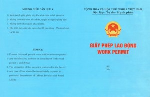 Mẫu giấy phép lao động (Work Permit) mặt ngoài