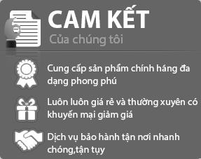 noithatnhaviet-camket