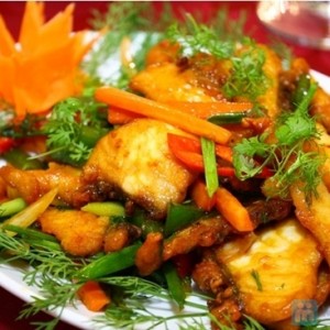 ca-tram-gion xao can toi