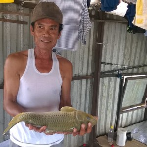nong dan nuoi ca tram gion