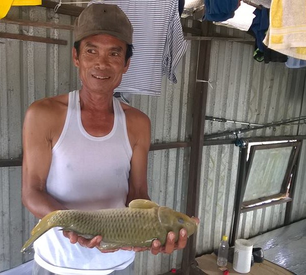 nong dan nuoi ca tram gion